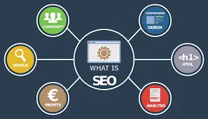 basic guide for seo beginners